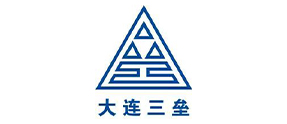大连三垒科技有限公司