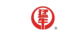 衡水电机股份有限公司